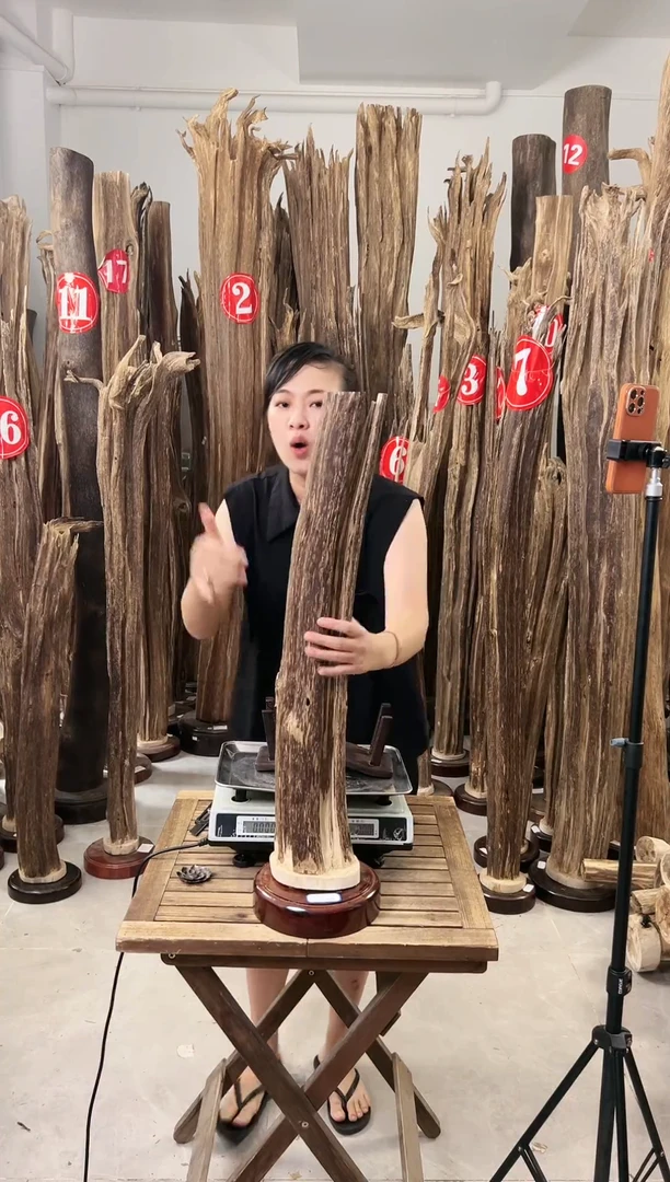 【闪购商品】沉香摆件沉香摆件+底座71