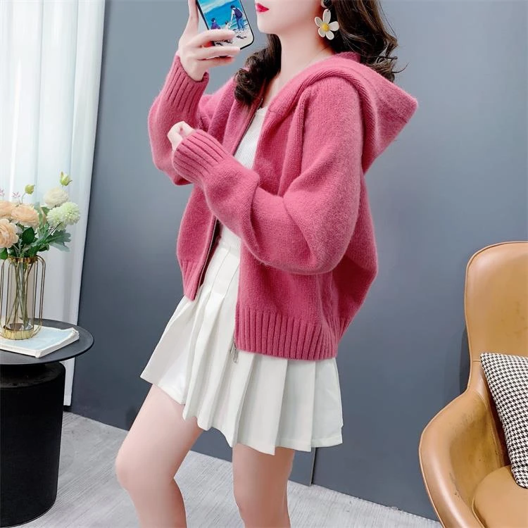 韩系小个子拉链连帽毛衣开衫女秋冬2024新款宽松百搭短款外套上衣