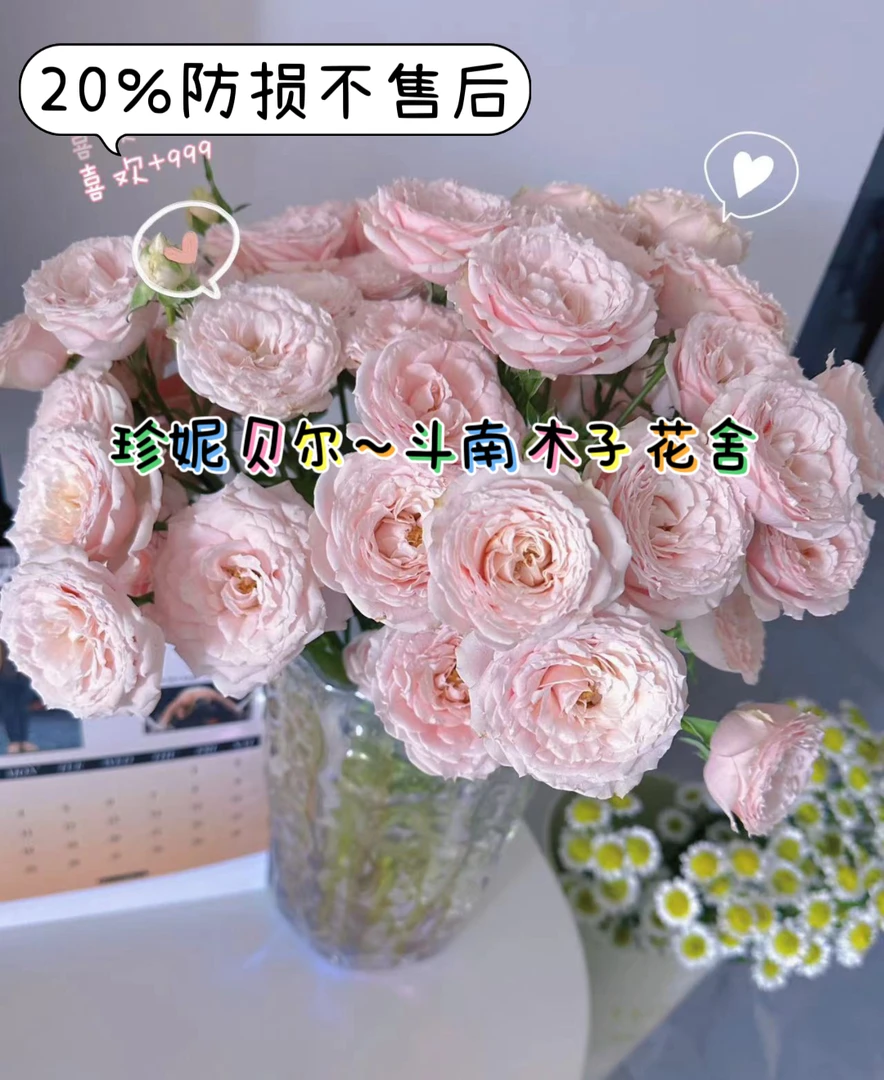 [珍妮贝儿]玫瑰一单不发货！！