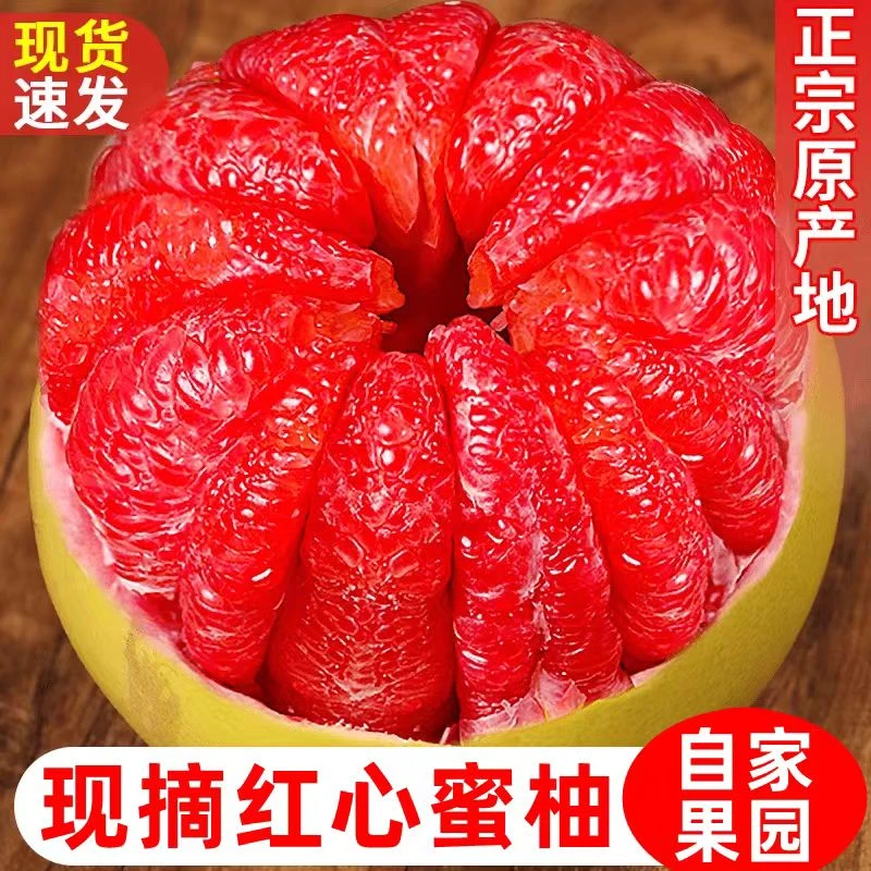 【5斤装】正宗红心柚现摘现发大果新鲜水果当季三红琯溪蜜柚2-3个