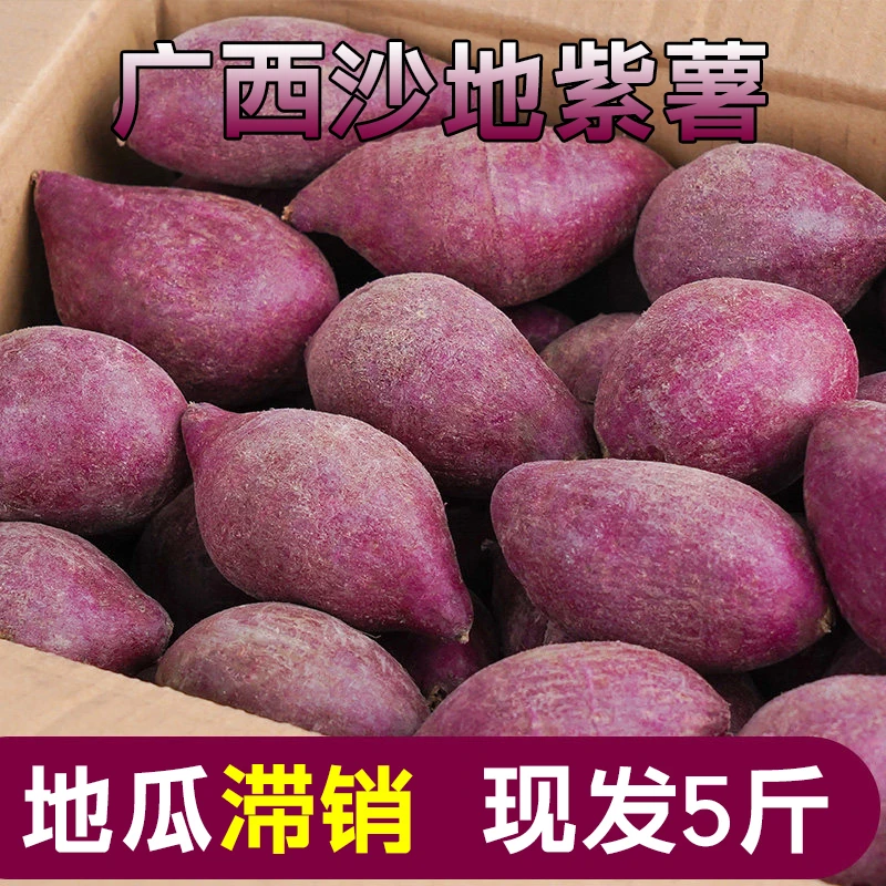 【现挖现发】新鲜紫薯1/9斤紫罗兰紫薯香甜紫心蜜薯红薯饱满地瓜