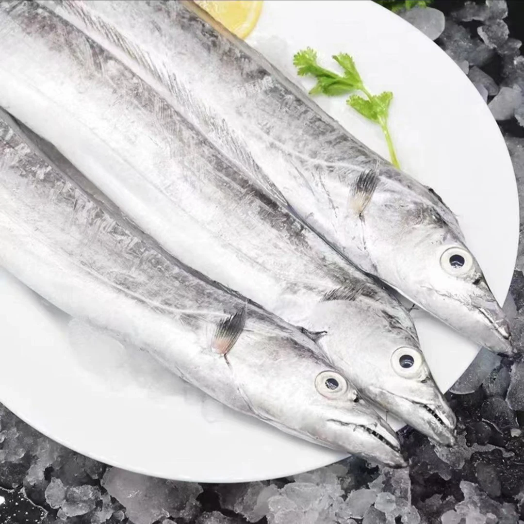 威海野生渤海湾小眼油带鱼（刀鱼）单挑规格1-1.5斤