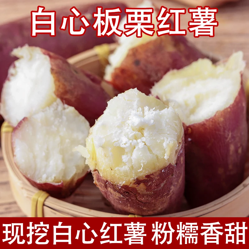 新鲜白心红薯粉面干香老品种现挖现发红皮白瓤板栗地瓜白薯山芋