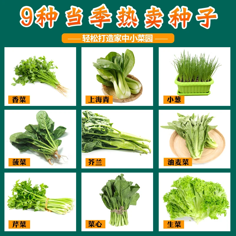 四季蔬菜种子 春季播种阳台菜园生长种植合集厂家直销抗病
