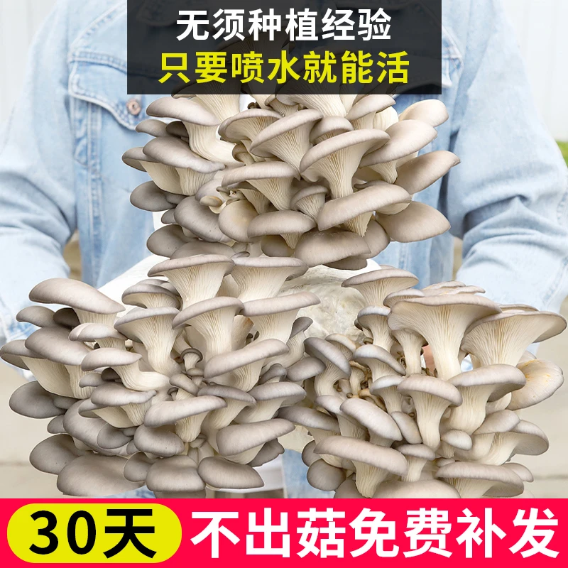 【CM】蘑菇包四季家庭阳台种植盆栽蔬菜