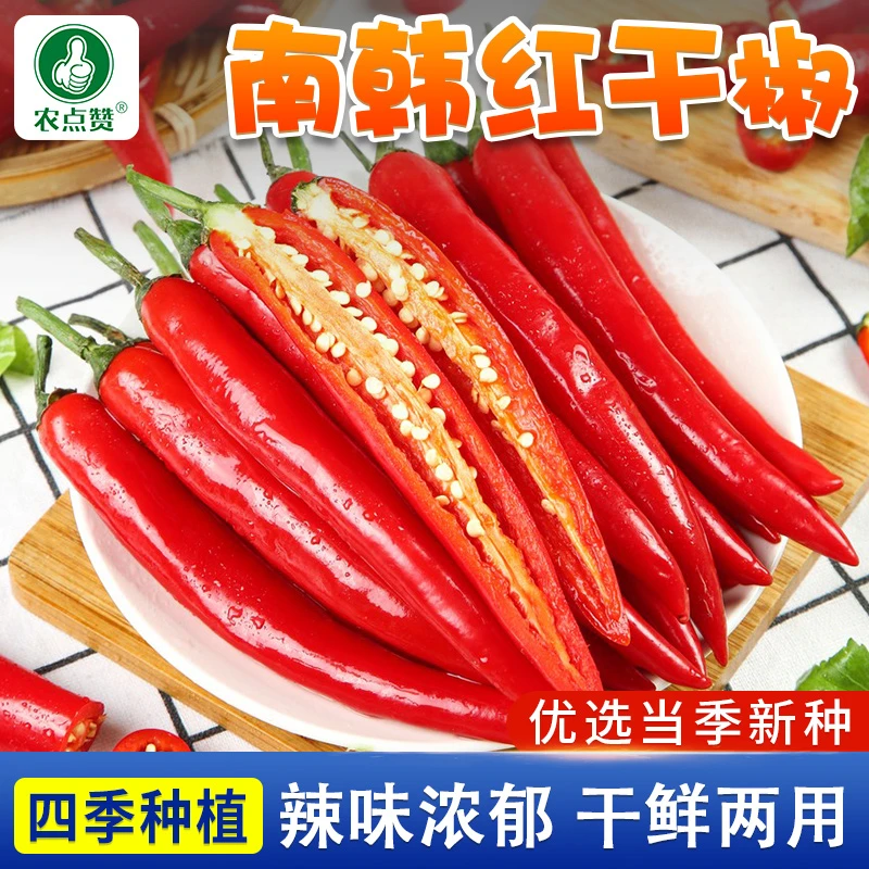 南韩红干椒辣椒种子蔬菜种子品种青椒红干椒种籽阳台庭院种植种菜