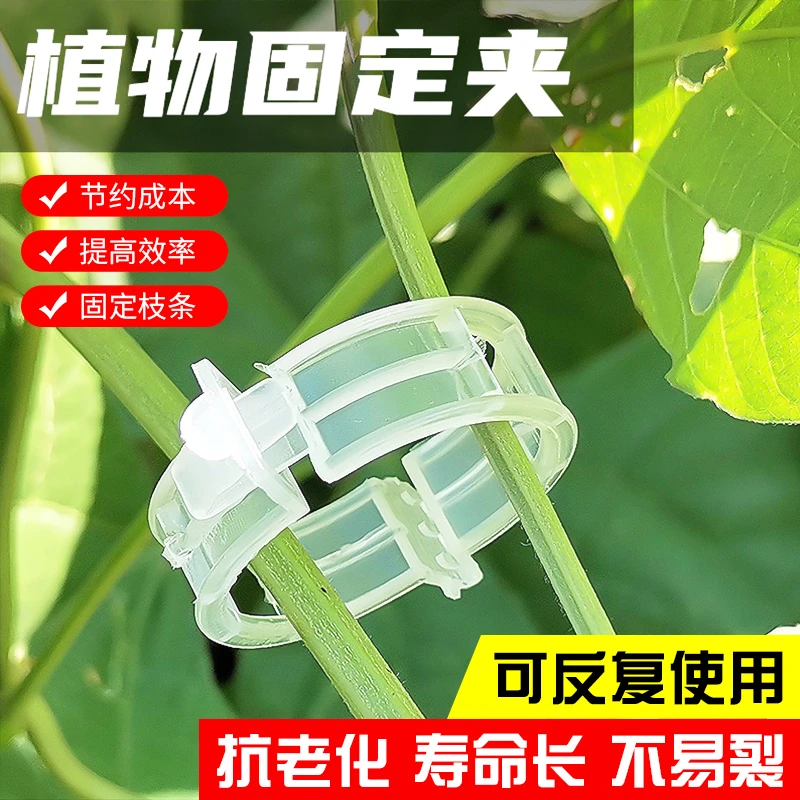 植物卡扣塑料绑蔓夹固定夹绑枝吊蔓卡扣夹蔬菜瓜果固定大棚耐用