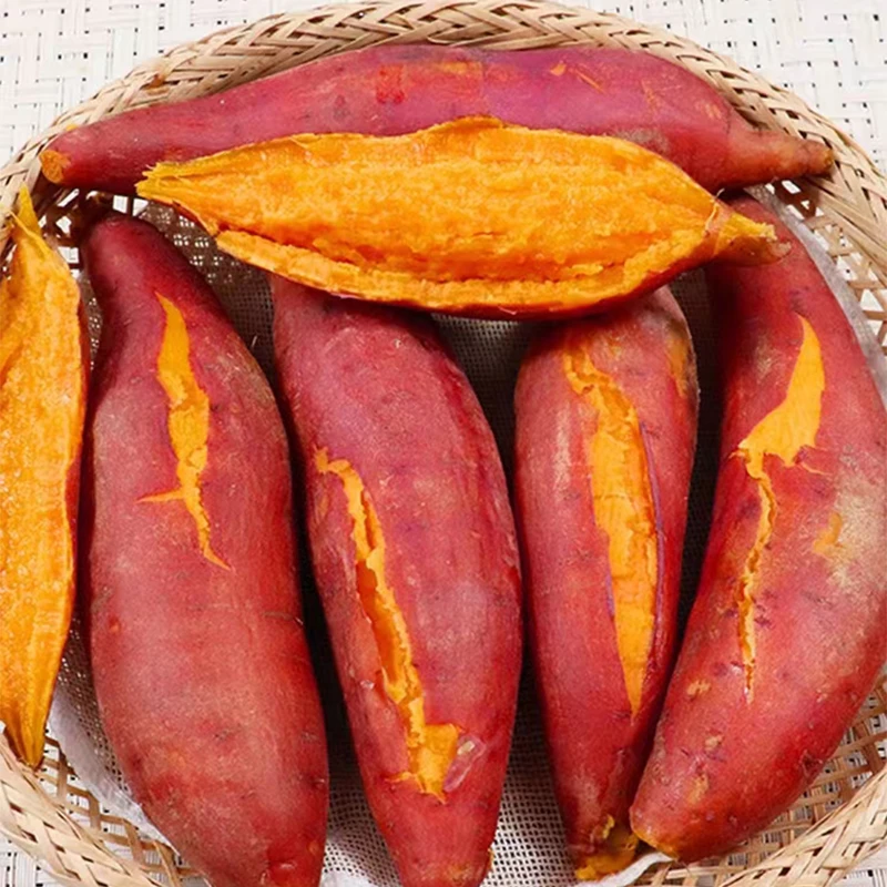 新鲜现挖红心蜜薯沙地番薯软糯香甜皮薄农家自种