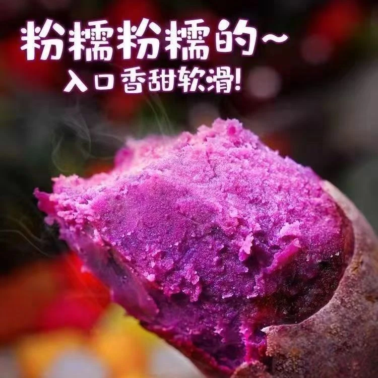 粉糯香甜新鲜紫薯现挖现发沙地正宗紫罗兰紫薯代餐粗粮低脂蔬菜