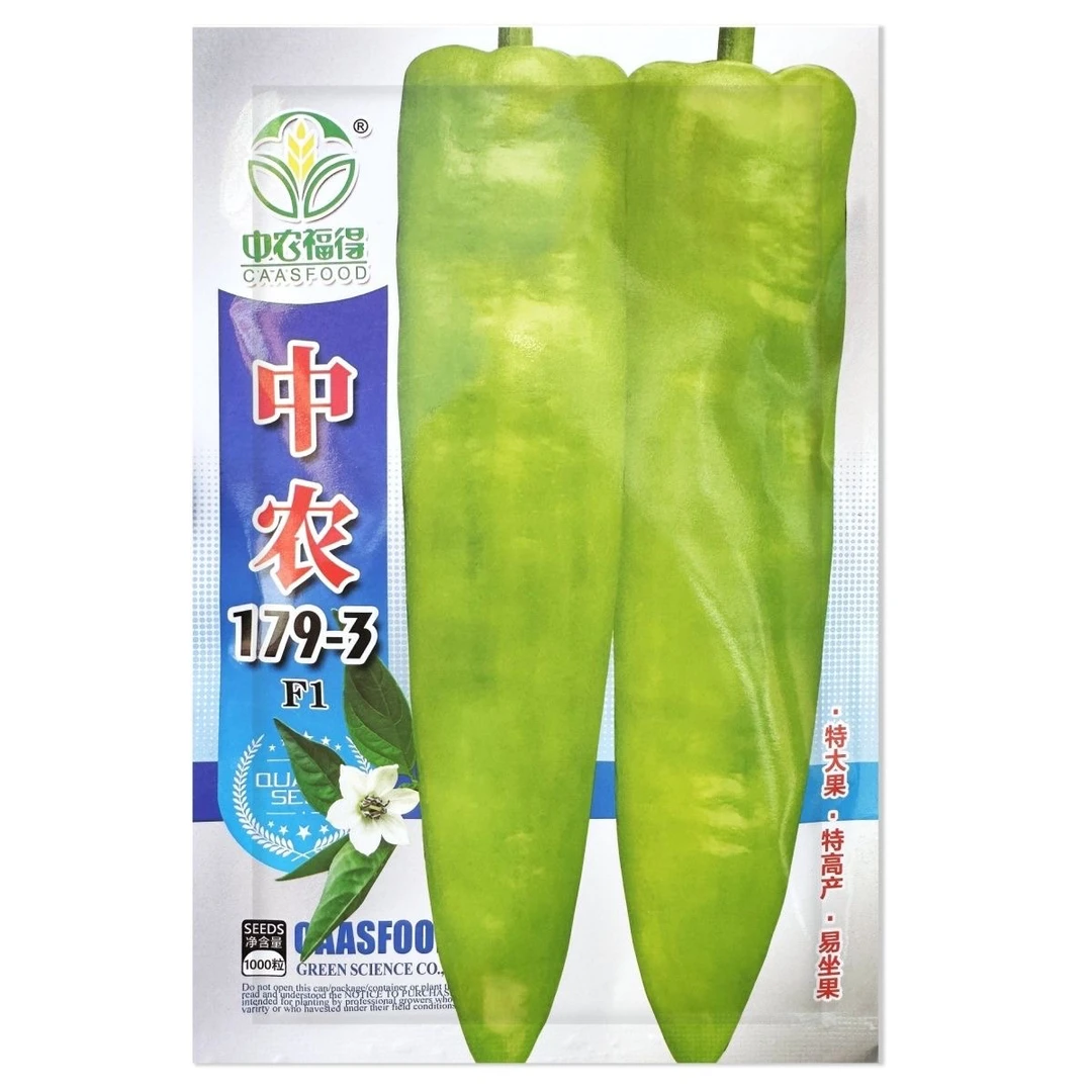 中农179-3黄绿皮大果尖椒高产抗病辣椒种子种籽