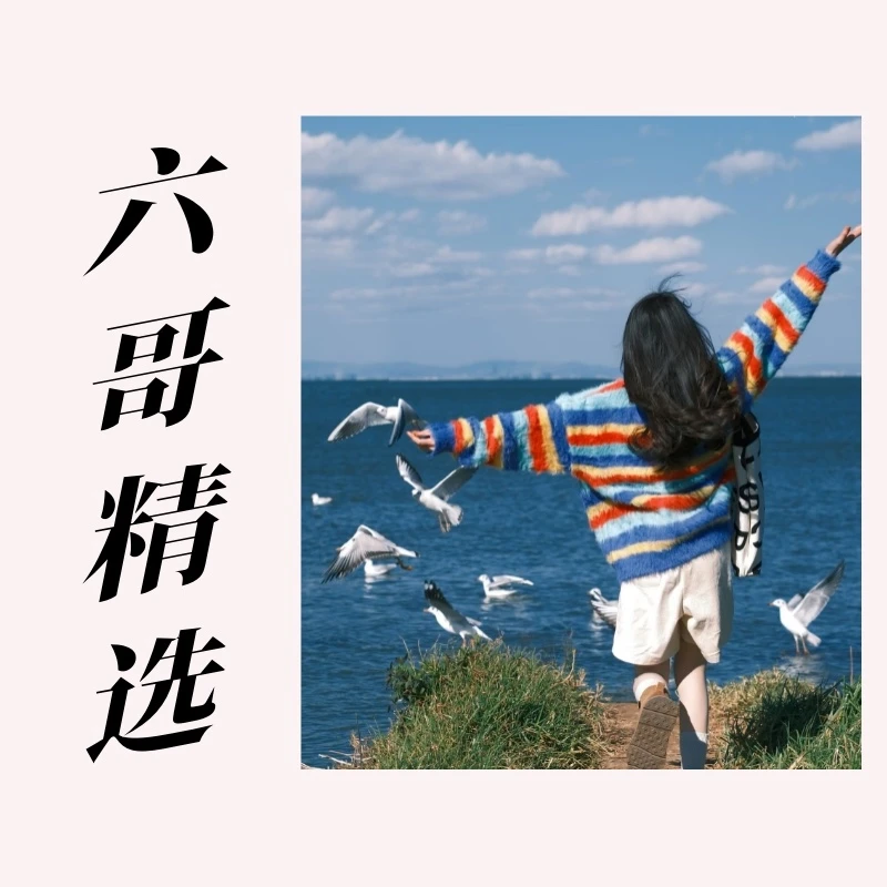 【61-80】编号➡️链接XS -衣服