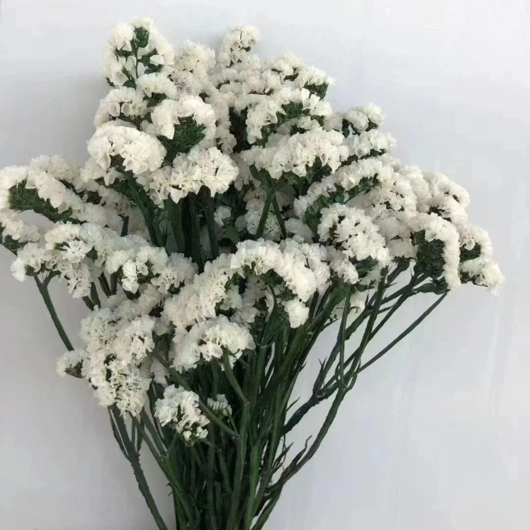 120克勿忘我永生花干花客厅装饰手工DIY气质拍照居家生态美丽染色