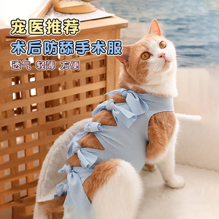 【宠医推荐】可调节猫咪手术后防舔服宠物母猫术后服透气小猫断奶服