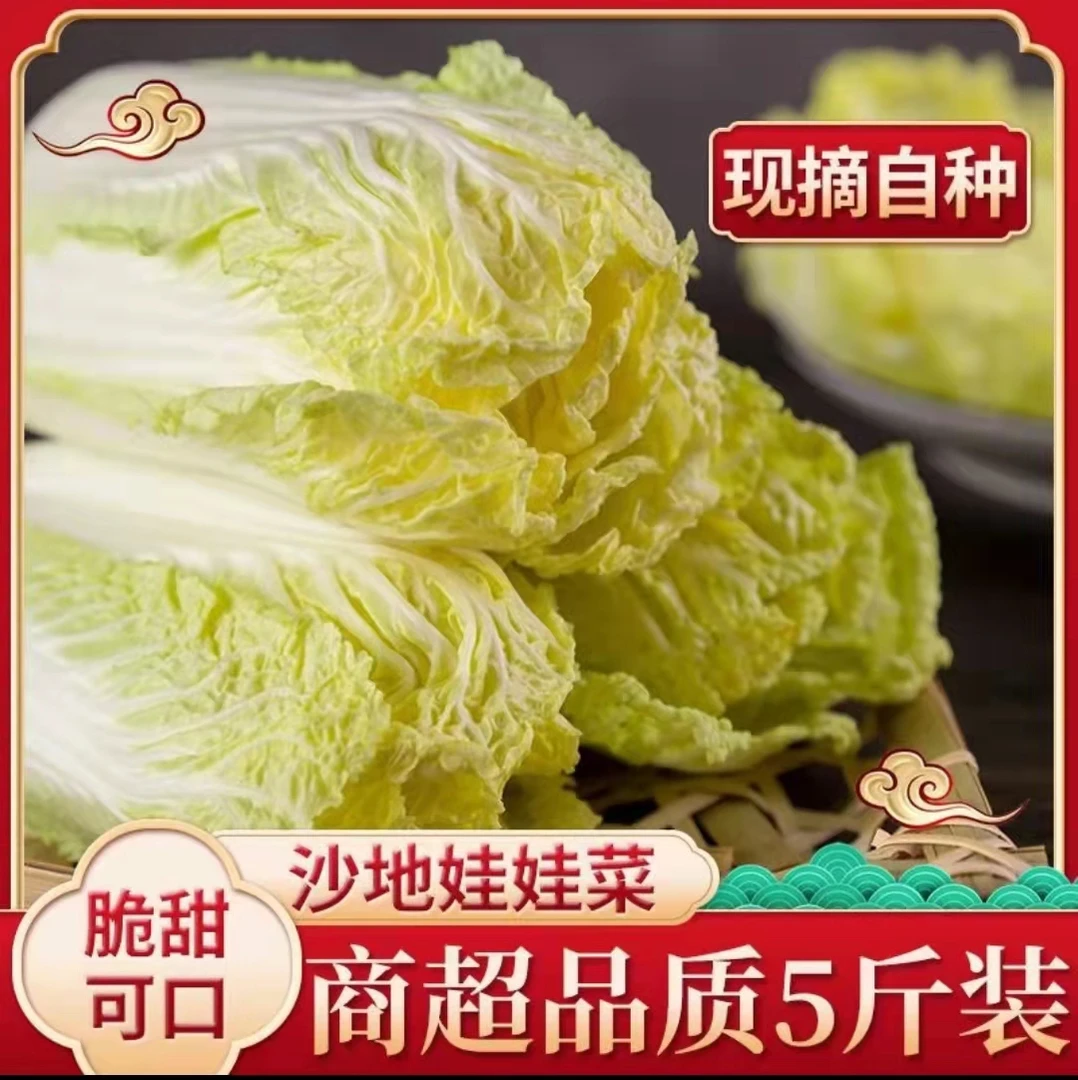 【现挖现发】鲜嫩黄心娃娃菜时令蔬菜新鲜火锅黄心菜泡菜食材包邮