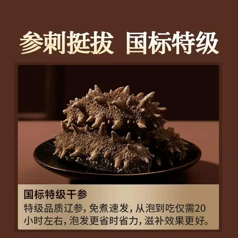 大连海参【冷水24小时泡发海参】20倍泡发率大连海参13-15头/20g
