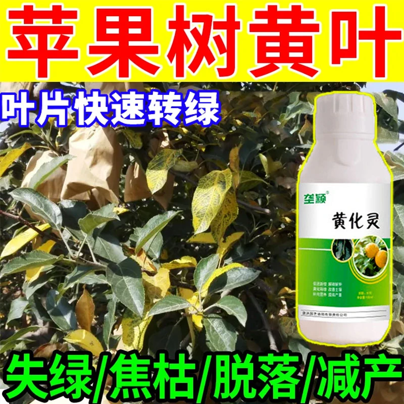 苹果树黄叶病专用肥料黄化病黄叶卷叶失绿脱落减产专用叶面肥