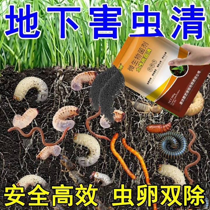 土壤除虫剂地上地下害虫专用微生物菌剂土传病害瓜果蔬菜通用肥料