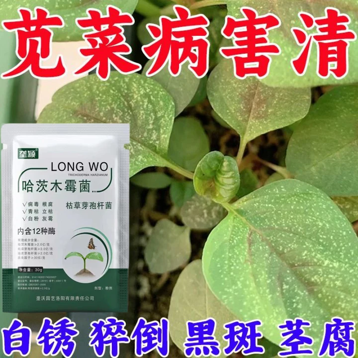 苋菜病专用肥料白斑病黑斑褐斑病白锈病炭疽病微生物菌剂叶面肥