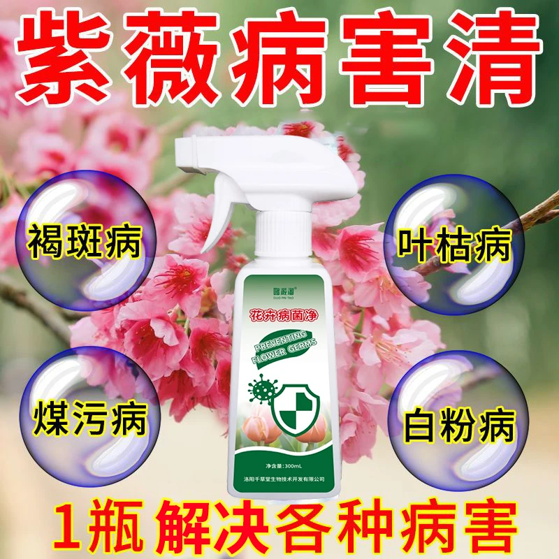 紫薇花褐斑病煤污病叶枯病叶斑黄斑通用烂根干尖黑腐叶营养液肥料