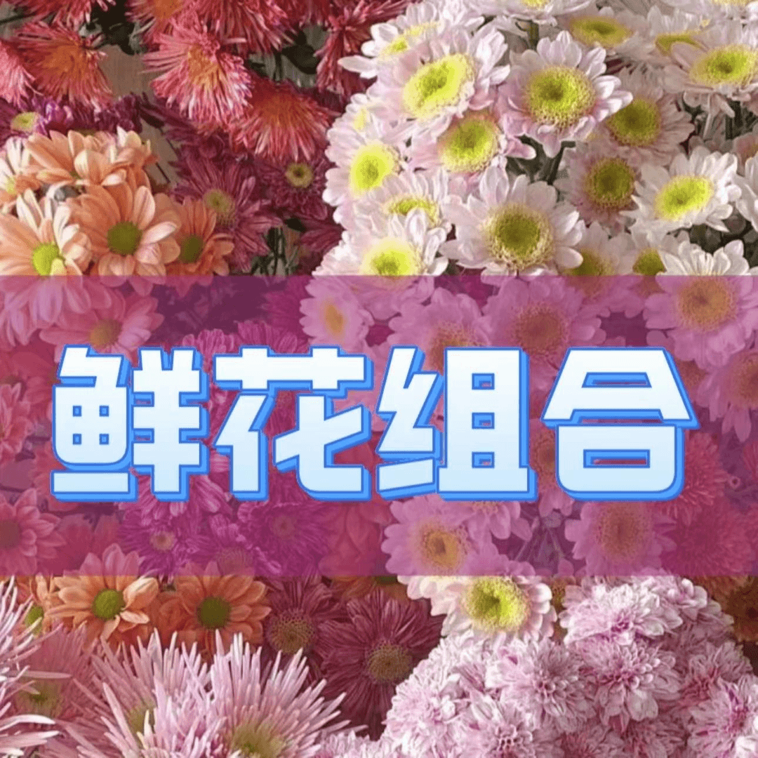 【福利任意玫瑰40枝保2色+顺丰冷链】云南鲜花基地直发家用花材