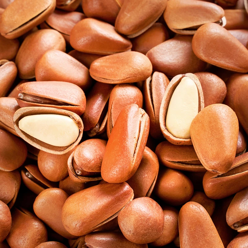 东北松子开口红松子坚果休闲零食炒货250g/500g袋装营养