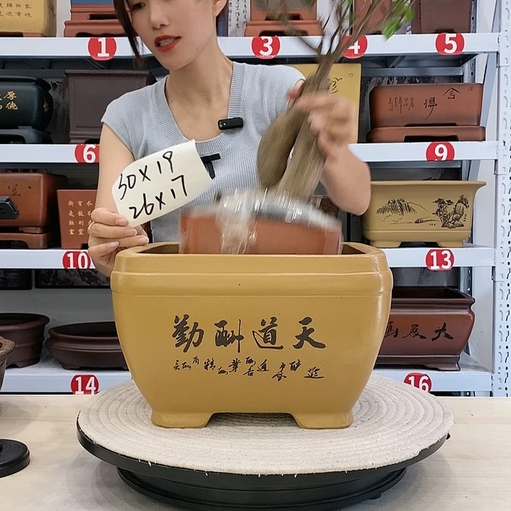 紫砂花盆紫砂花盆