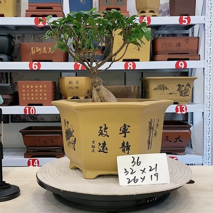 紫砂花盆紫砂花盆