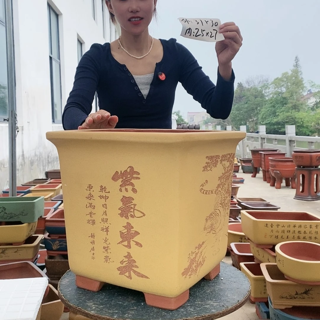 紫砂花盆紫砂花盆