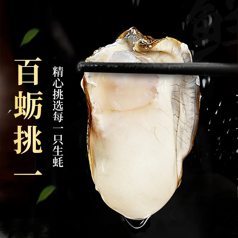 【买3斤送2斤顺丰包邮】威海乳山牡蛎正宗乳山生蚝鲜活海鲜带箱5斤