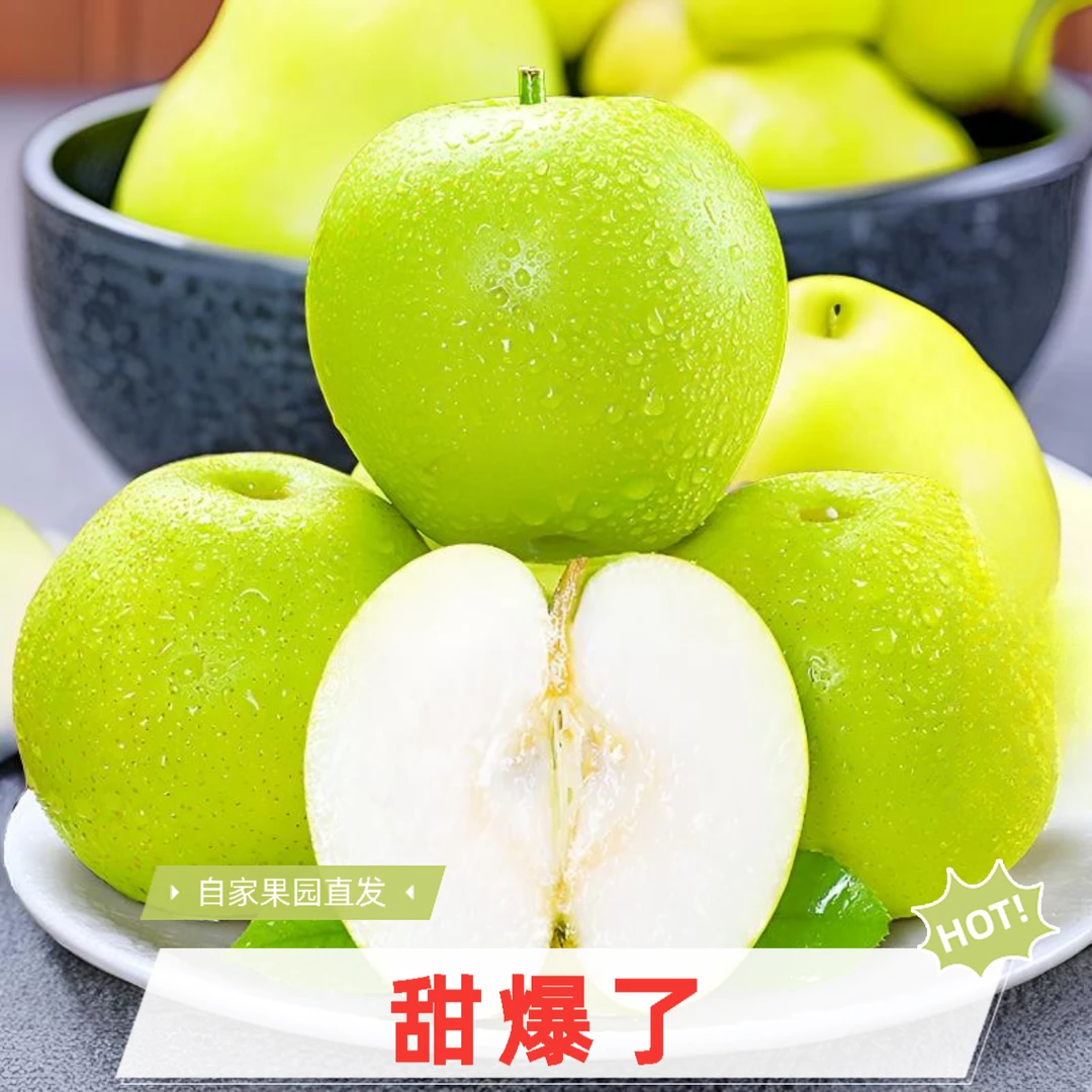【超甜】新鲜皇冠梨子水果新鲜砀山皇冠梨苹果梨现摘当季5斤皮薄梨D