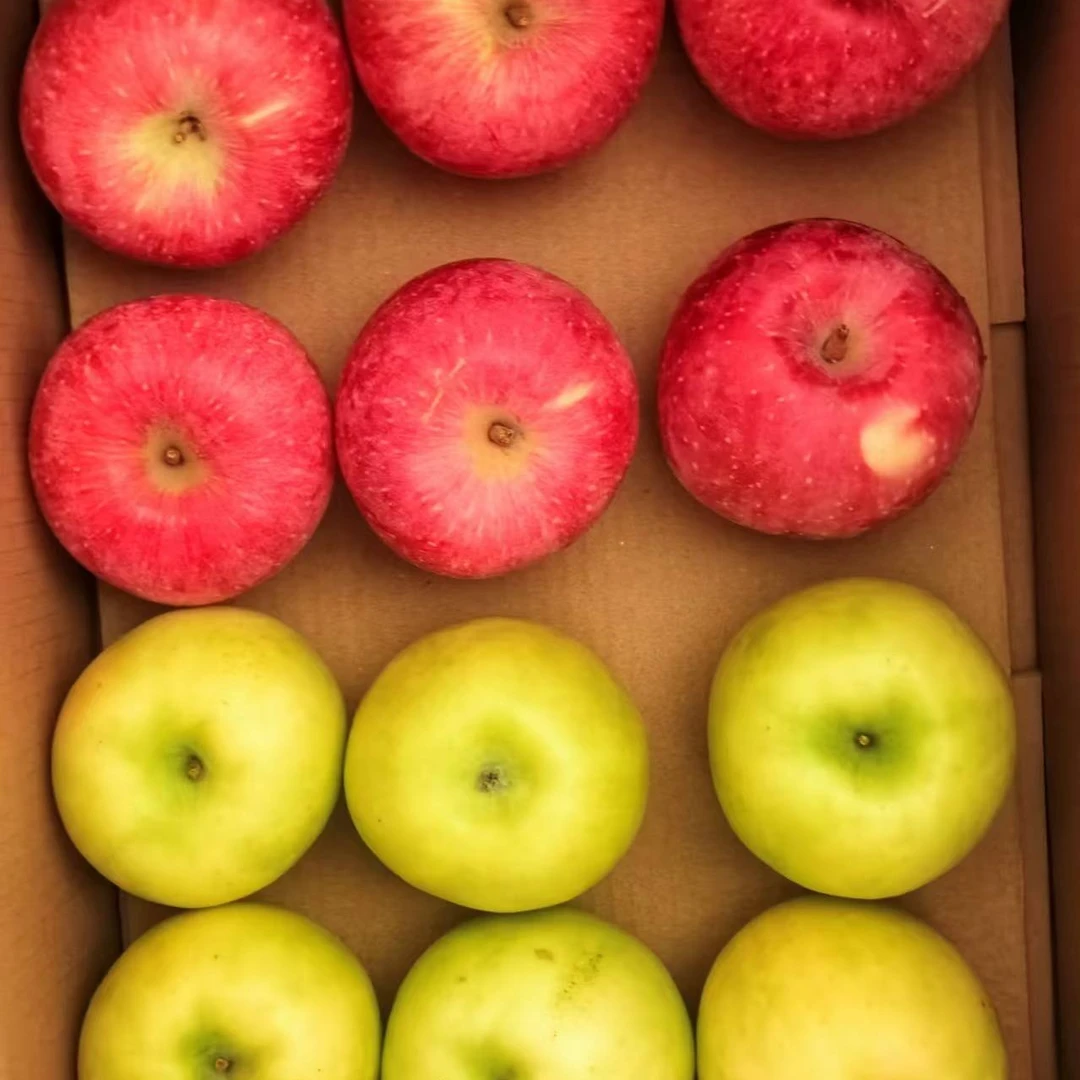 果枝几双拼苹果新鲜水果瑞雪纯甜脆苹果红富士脆甜新鲜双拼送礼