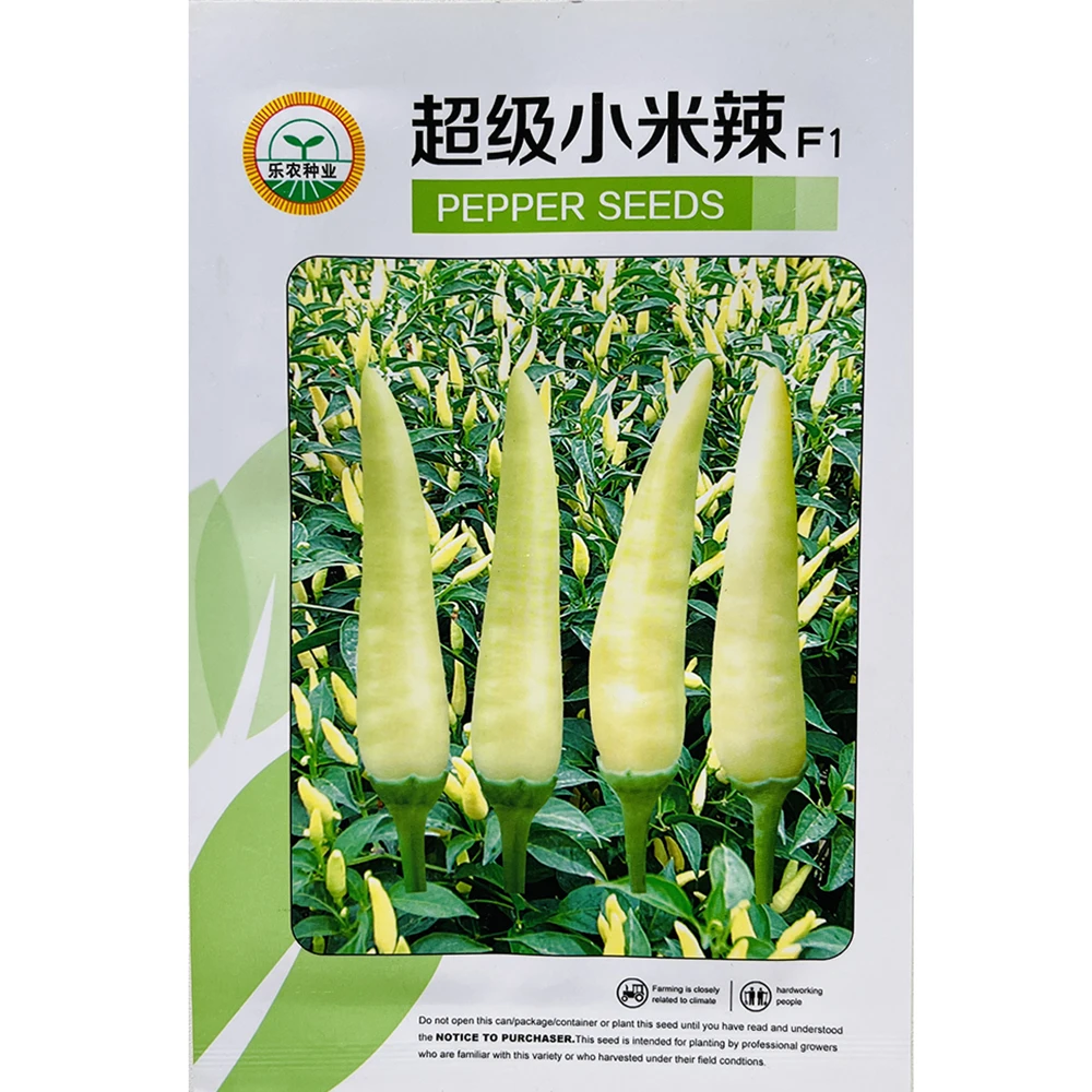 小米辣超辣泡椒种子 白色泡椒朝天椒种籽 大果小米辣种子蔬菜种孑