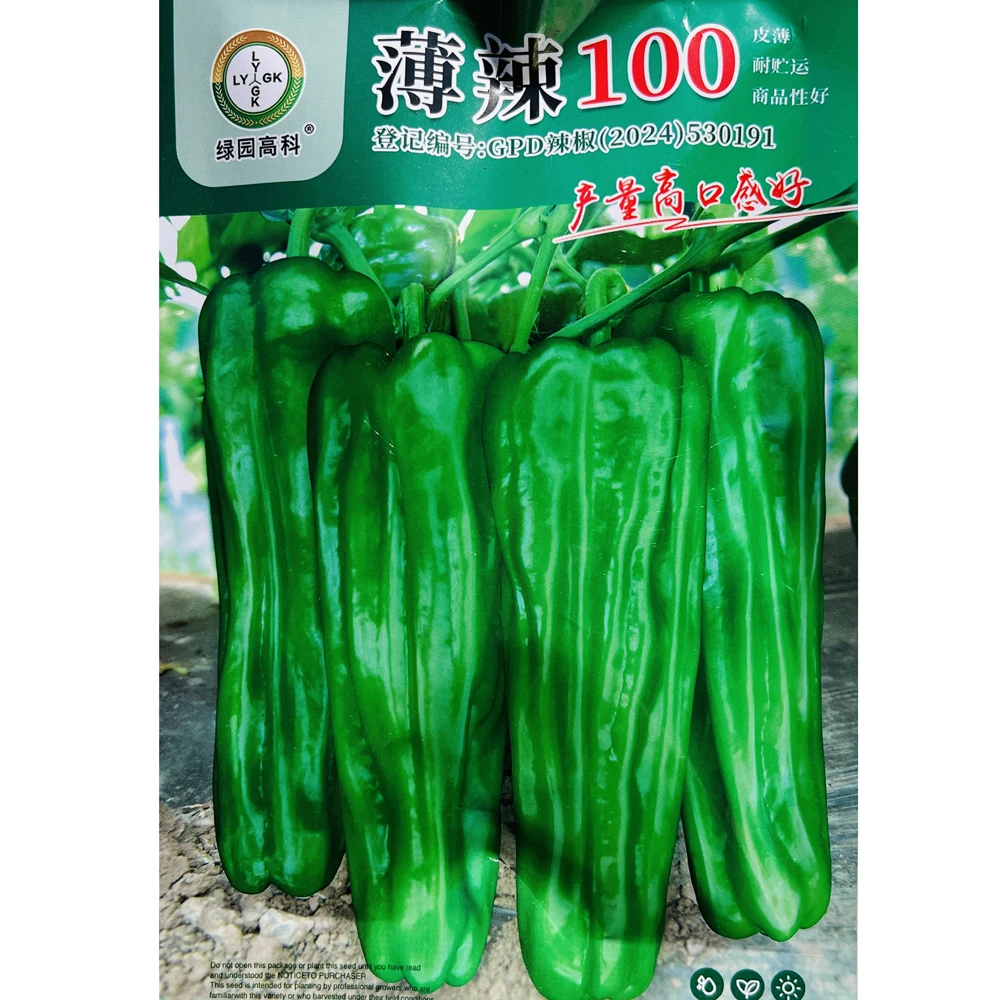 薄辣100青椒大果皱皮泡椒种子 早熟高产辣椒种子特辣香辣味浓种籽