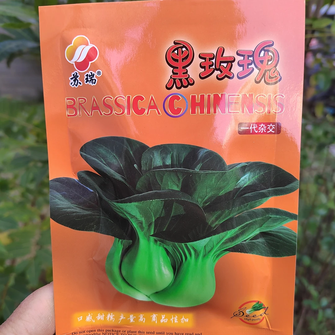 黑玫瑰矮脚黑叶苏州青种子杂交种耐寒黑大头青菜种籽四季蔬菜种孑
