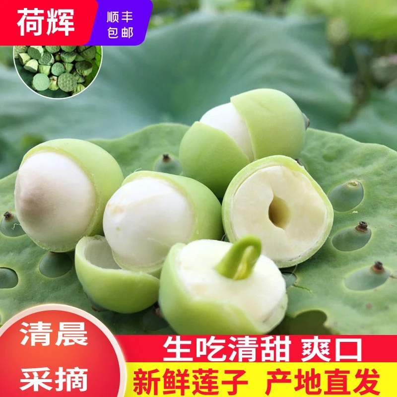 荷辉嫩莲子新鲜湖北特产洪湖莲子米现剥现发1000克生吃清甜顺丰