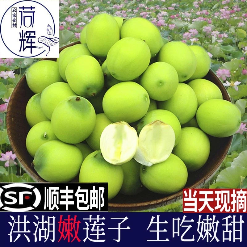 荷辉莲子湖北洪湖特产新鲜嫩甜莲蓬青莲子米2斤当季生吃水果湘莲
