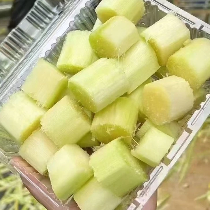 田野果品—黄金甘蔗 500 克/盒