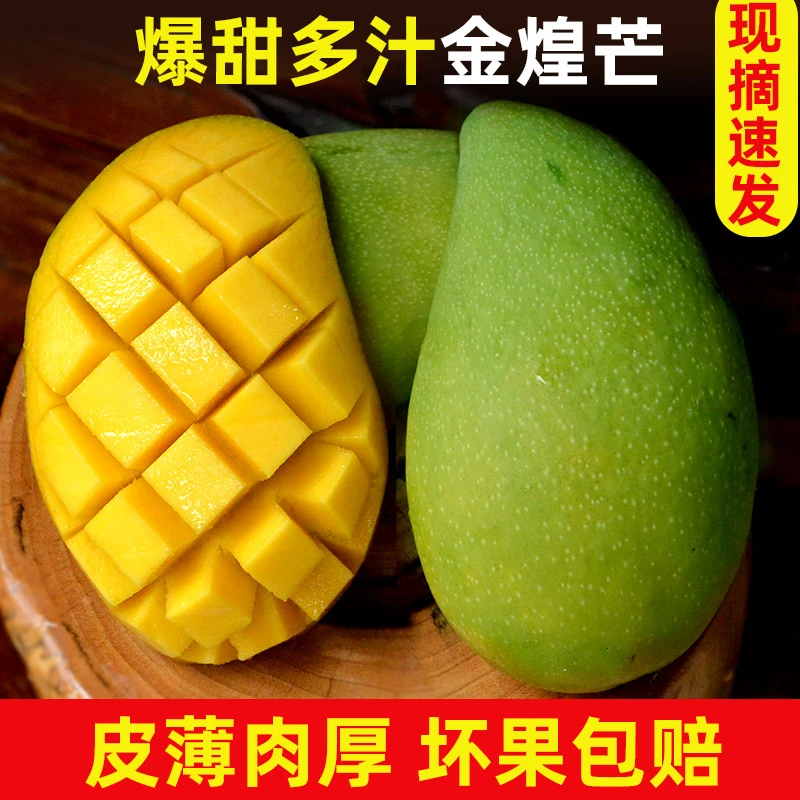 9斤装攀枝花金煌芒青皮芒果水仙芒新鲜香甜水果青芒非贵妃台农芒