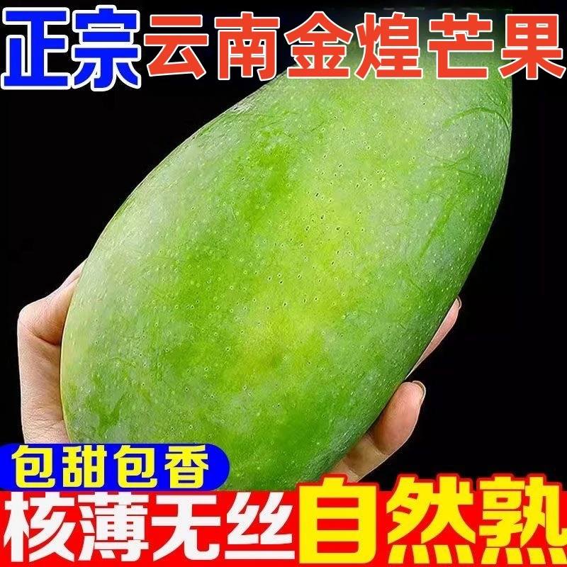 【3斤装】科妹儿金煌芒果青皮芒香甜鲜嫩多汁核薄肉厚新鲜应季水果