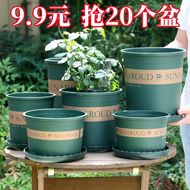 加仑盆玫瑰月季多肉植物花盆花卉阳台长盛树脂处理一体绿萝塑料盆
