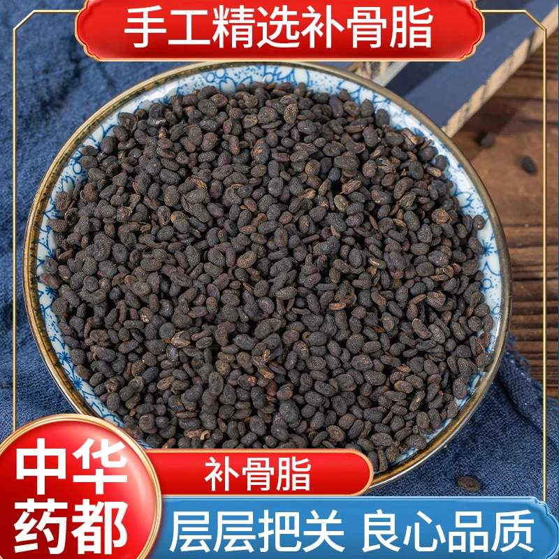 补骨脂 骨 碎 补 精选