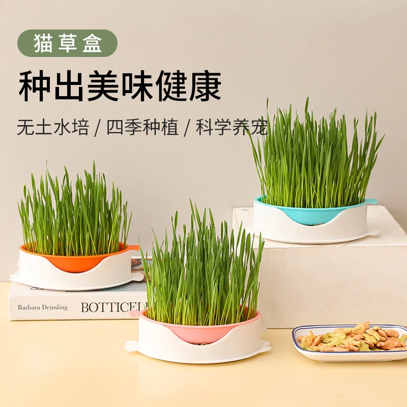 懒人猫草盆栽无土水培种植盒小麦种子培育盘杯猫咪排毛化毛神器