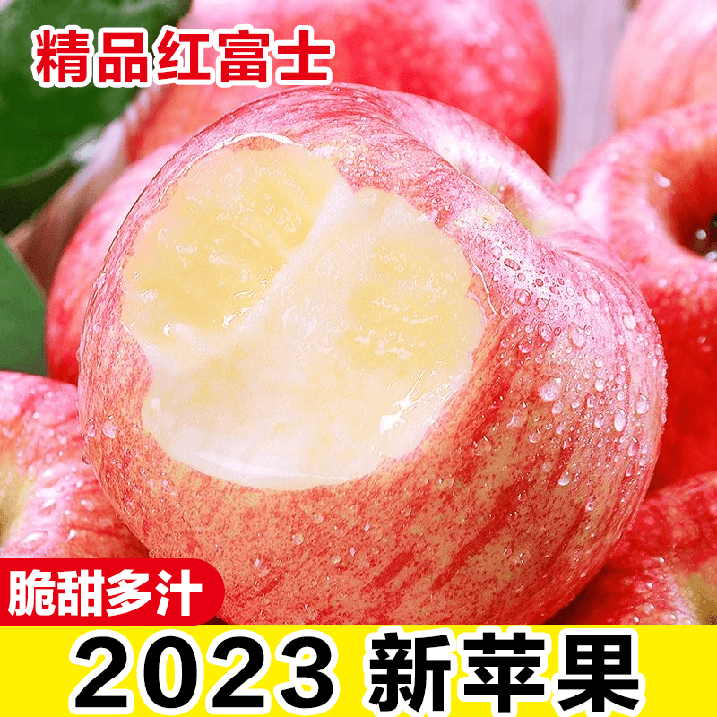 【2023年新果】红富士苹果1/5/10斤 脆甜多汁 坏果包赔 砀山发货