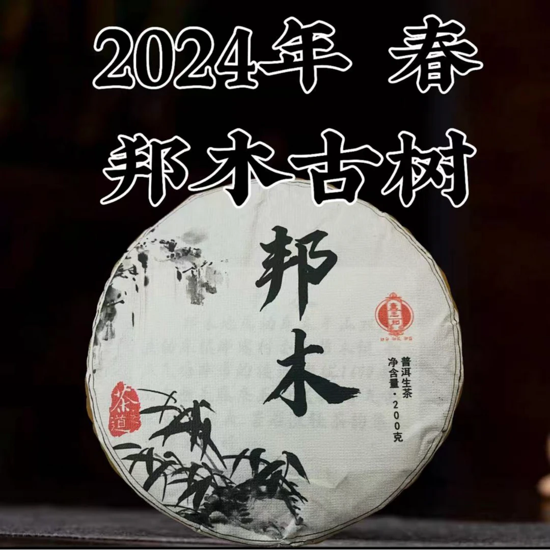 邦木古树 24年春 古树 普洱茶生茶