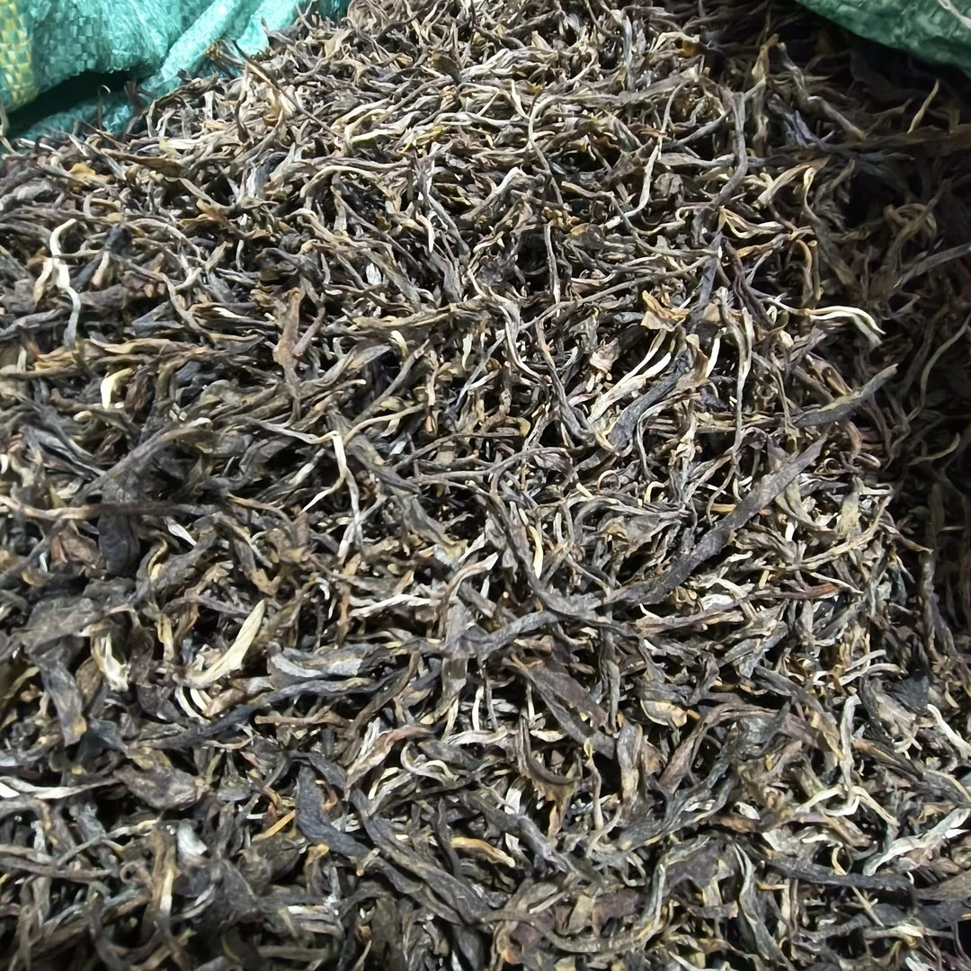 昔归老寨34号忙麓山正山  2024年云南大叶种 晒青绿茶