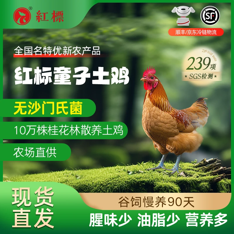 纯谷饲90天散养童子鸡0沙门氏菌天然生态新鲜美味饲养肉质品质达