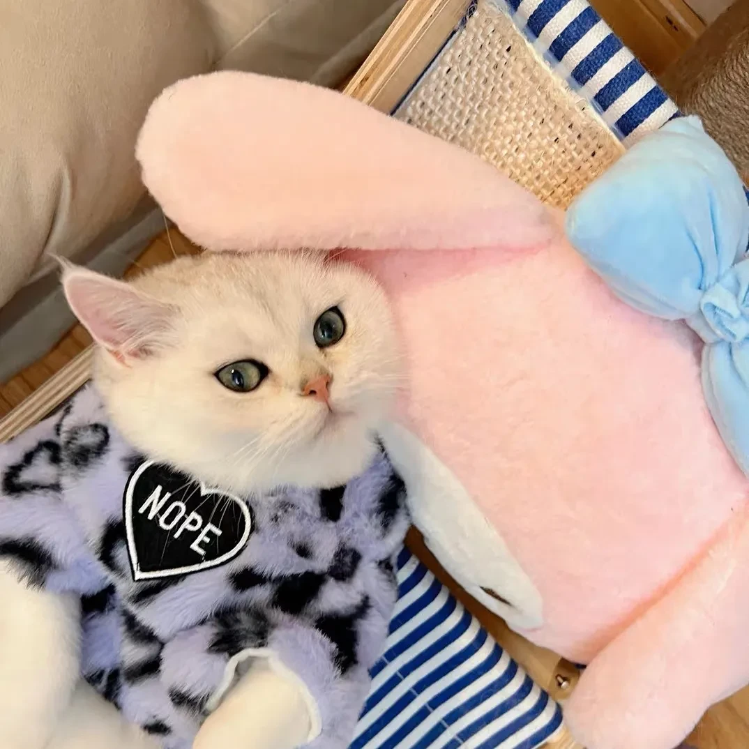 猫咪衣服冬季英短小猫幼猫冬天专用宠物网红猫猫可爱保暖毛绒小型