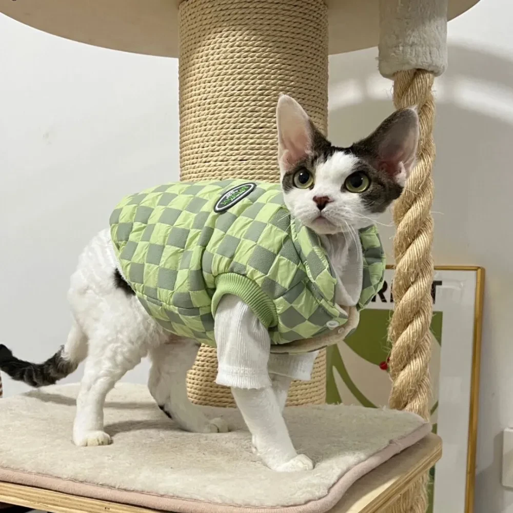 无毛猫斯芬克斯德文宠物猫咪秋冬款毛毛拼色衣服保暖
