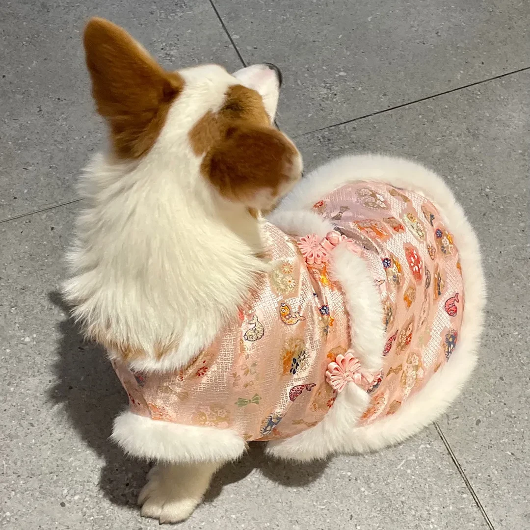 狗狗衣服冬装加厚中国风柯基犬唐装新年复古狗狗棉马甲保暖国风