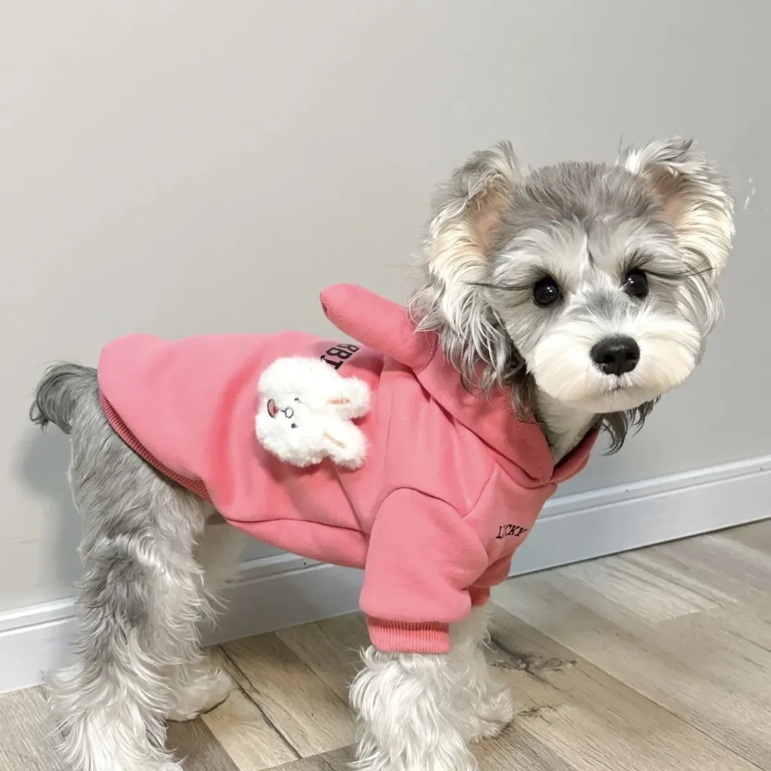 小熊连帽绒衣保暖秋冬季泰迪比熊宠物猫咪小型幼犬小狗狗衣服冬天